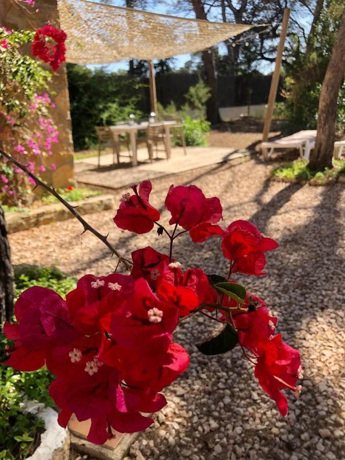 Apartamento Sa Ginebra, Cala Saona Luaran gambar